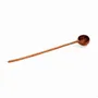 Flatware - The Teak Root Dosage Spoon - BAZAR BIZAR LIVING