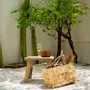 Bowls - The Teak Root Salad Bowl - S - BAZAR BIZAR LIVING