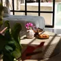 Plats et saladiers - Le Plat À Gâteaux Teak Root - L - BAZAR BIZAR LIVING