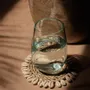 Placemats - The Seagrass Shell Coaster - White - BAZAR BIZAR LIVING