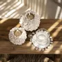 Placemats - The Seagrass Shell Coaster - White - BAZAR BIZAR LIVING