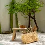 Sacs et cabas - Le Panier Raffia Bahamas - Naturel - BAZAR BIZAR LIVING