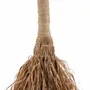 Decorative objects - The Grumpy Broom - Natural - BAZAR BIZAR LIVING