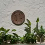 Other wall decoration - The Jasmine Plate - Brown - XL - BAZAR BIZAR LIVING