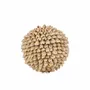 Decorative objects - The Oluolu Shell Ball - M - BAZAR BIZAR LIVING