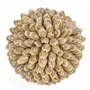 Decorative objects - The Oluolu Shell Ball - M - BAZAR BIZAR LIVING