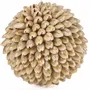 Decorative objects - The Oluolu Shell Ball - M - BAZAR BIZAR LIVING