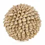 Decorative objects - The Oluolu Shell Ball - M - BAZAR BIZAR LIVING