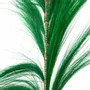Decorative objects - The Stunning Leaf - Emerald Green - BAZAR BIZAR LIVING