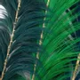 Decorative objects - The Stunning Leaf - Emerald Green - BAZAR BIZAR LIVING