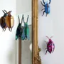 Other wall decoration - Butterflies & Beetles - STUDIO ROOF
