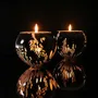Objets de décoration - Coquille - PONPON CURIOSITAS