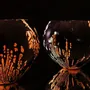 Objets de décoration - Coquille - PONPON CURIOSITAS