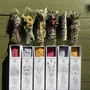 Scent diffusers - Collection of 6 small smudge sticks - TOTEM NATURE