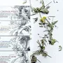 Home fragrances - Collection of 6 100% plant incenses TOTEM nature - TOTEM NATURE