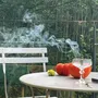Home fragrances - Collection of 6 100% plant incenses TOTEM nature - TOTEM NATURE