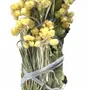 Gifts - Bouquet of the Little Bear - Organic fumigation stick - TOTEM NATURE