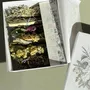 Parfums d'intérieur - Coffret cadeau botanique Harmonie - TOTEM NATURE