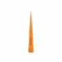 Design objects - CERALACCA KATMANDU - Tree shaped candle - GRAZIANI