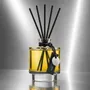 Diffuseurs de parfums - Nite Star 500ml - LOHN