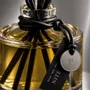 Diffuseurs de parfums - Nite Star 500ml - LOHN