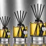 Diffuseurs de parfums - Nite Star 500ml - LOHN