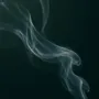 Home fragrances - The Wolf incense 100% plants - TOTEM NATURE
