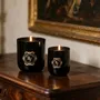 Bougies - BAROCCO FIORENTINO - Bougies parfumées - CATERINA - GRAZIANI