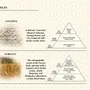 Bougies - BAROCCO FIORENTINO - Bougies parfumées - CATERINA - GRAZIANI