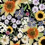 Textile and surface design - Surface Pattern Design - LIFE AFTER BREAKFAST