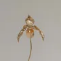 Objets de décoration - Sculpture Orchidée Huanuco - Brave - CÂPÂ JEWELRY