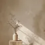 Enduits et stucs - Chaux Fine & Badigeon - MARIUS AURENTI