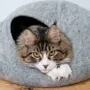Tapis - Cocon pour chat et chien en laine feutrée fait main. - COCOON PARIS