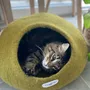 Tapis - Cocon pour chat et chien en laine feutrée fait main. - COCOON PARIS