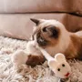 Pet accessories - Jouets pour chats - COCOON PARIS