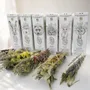 Diffuseurs de parfums - Collection des 6 petits Bâtons de fumigation - TOTEM NATURE