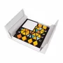 Toys - TRIDO Magnetic Blocks "Honey" – 36 Pieces - TRIDO
