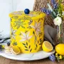 Decorative objects - Birthday Collection — Metal boxes illustrated by Sara Miller - MAISON ROYAL GARDEN