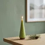 Other Christmas decorations - Candle Tree - NOT THE GIRL WHO MISSES MUCH