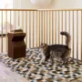 Tapis contemporains - Set de table et tapis - TINT - CHILEWICH