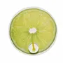 Sets de table - Set de table CITRUS - CHILEWICH