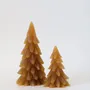 Objets de décoration - Bougie "Sapin" - CIERGERIE DES PREMONTRES
