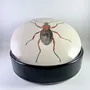 Glass - CERAMIC JARS - JEANNE KOEPP