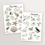 Papeterie bureau - 2 planches de stickers A5 : Oiseaux et Coquillages - TABLE À CARTES