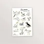 Papeterie bureau - 2 planches de stickers A5 : Oiseaux et Coquillages - TABLE À CARTES