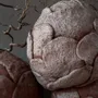 Vases - Collection de vases "Earthen Bloom" - GALERIE SANA MOREAU