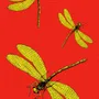 Torchons - Torchon Libellule - ZOOH