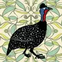 Torchons - Torchon de cuisine Guineafowl - ZOOH