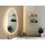 Mirrors - Kiama Mirror with LED, anti-fog and 3 light settings, organic shape, 58×80 cm - HOUSE NORDIC