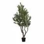 Décorations florales - Olivier, arbre artificiel, vert, H : 220 cm - HOUSE NORDIC